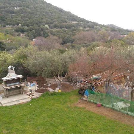 Martha'S Villa Nea Iraklitsa Екстериор снимка