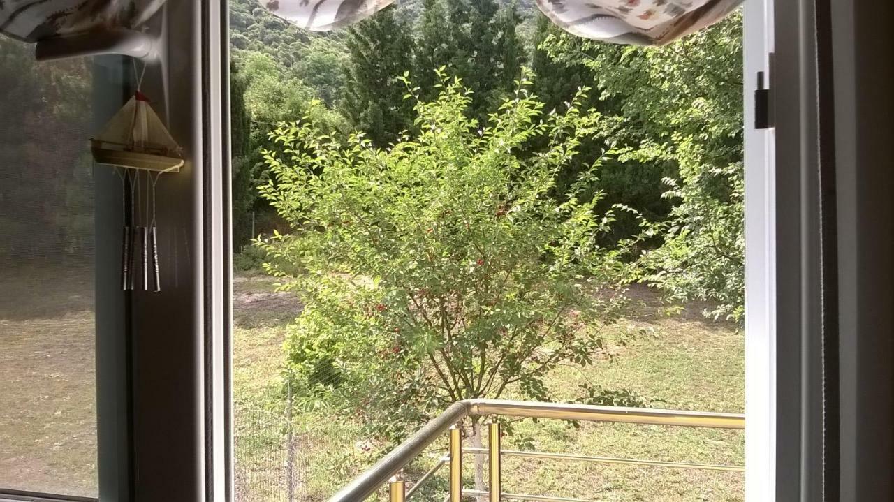 Martha'S Villa Nea Iraklitsa Екстериор снимка