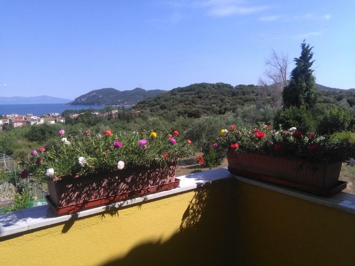 Martha'S Villa Nea Iraklitsa Екстериор снимка