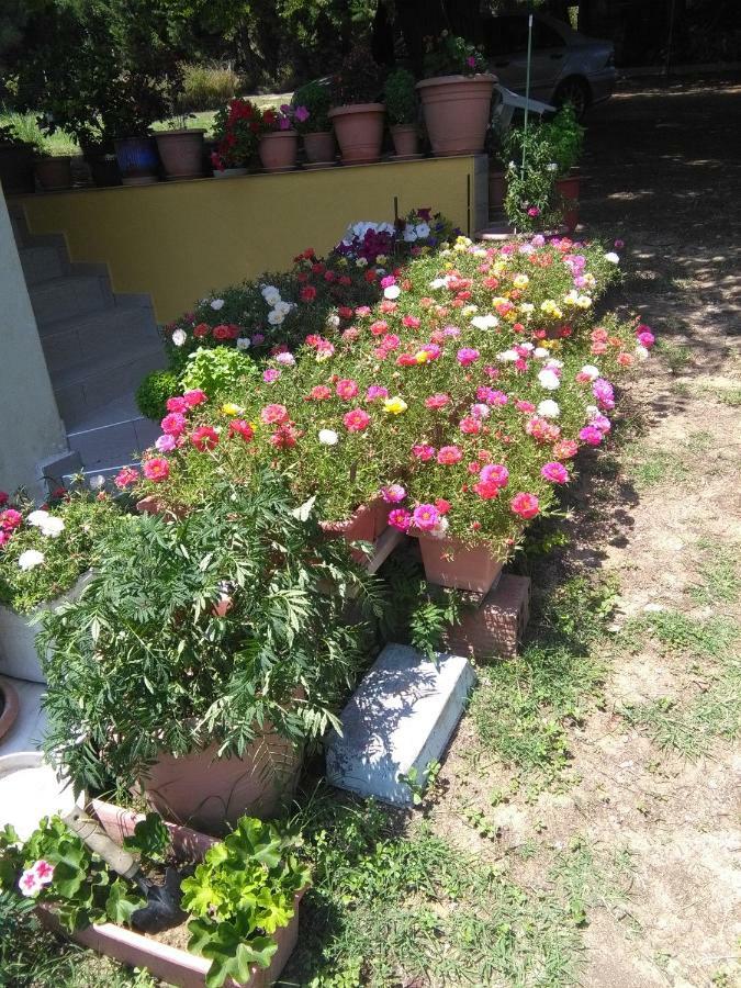 Martha'S Villa Nea Iraklitsa Екстериор снимка